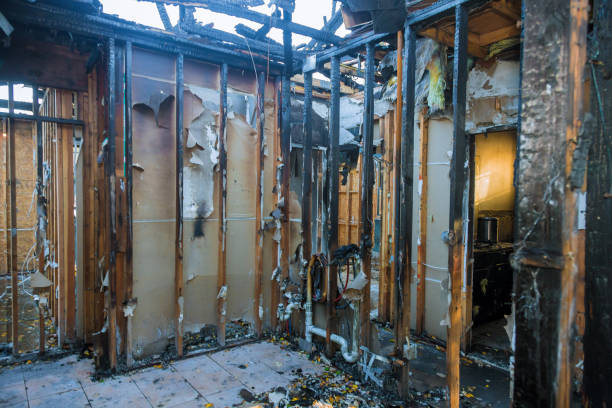 Professional Fire Damage Removal technician working in Point, TX